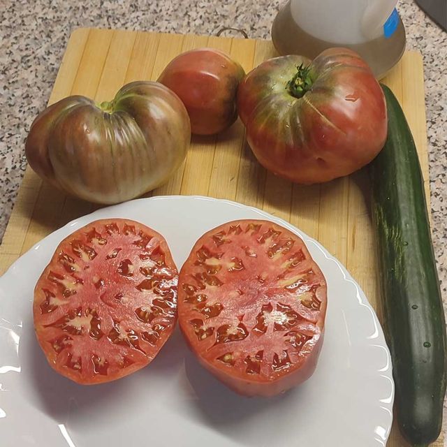 Tomate Rabiteño Sabor Intenso tomates sobre plato